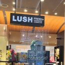 러쉬 (Lush)