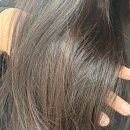 평산로 | 까만피부 매트브라운 염색, 창원 피넛헤어 웜톤 염색 후기