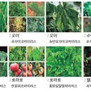 모두싹친환경농자재 이미지