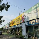 인천꽃 | 인천 도림동 화훼단지 | 이안꽃도매 장미 구매 내돈내산 솔직 후기🌹