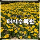 대아수퍼 | 완주 대아수목원 튤립 만개, 철쭉 개화 상태(24.4.14기준)