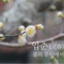 입춘(立春) 이미지