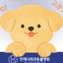 모양동물병원 이미지