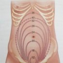 하이베베 이미지