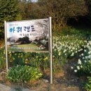 아리랜드 이미지