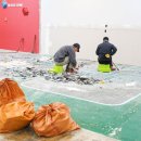 퍼피월드제주 이미지