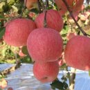 이성우농장 이미지