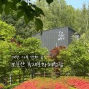 [일일체험]목공(기관 및 어린이 동반) | 보문산 목재문화체험장 방문 후기 🪵 | 냄비받침 | 예약, 가는 길, 체험 내용 | 대전 놀거리 추천...
