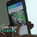 세컨하우스 네이버블로그