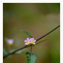 불암초등학교 이미지