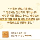 샌드온 네이버블로그