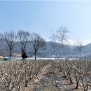 북평터미널 이미지