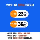 으뜸핏 이미지