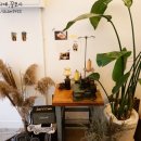 브라운버터(brown butter) 이미지