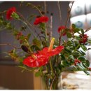 플라워천국 이미지