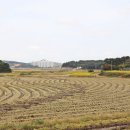 대산경로당 이미지