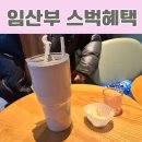 스타박스 | 출산휴가 루틴｜임신34주차 일상 브이로그 &amp; 스타박스 임산부 혜택 후기