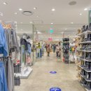 HM빌딩 | 오사카 호텔 한큐 레스파이어 우메다 위치 교토 당일치기 여행 숙소 추천