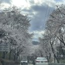 신청평주유소 이미지