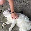 장척계곡가든 이미지