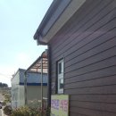 보인촌식당 이미지