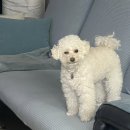 말랑말랭 이미지