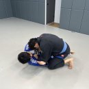 팀매드청주