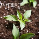 현대농수산물