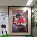 둔산타이거스크린골프존 이미지