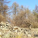 지장사지 이미지