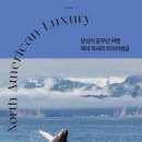 비파이브크루 네이버블로그