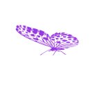 gif - 나비 이미지