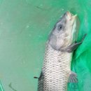 우정낚시터 이미지