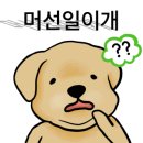 베베네 개스트하우스 이미지