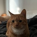 안진균피부과의원 이미지