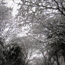 산본 문화의 거리 이미지