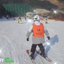 서울 인라인을 탄후 스키강습을 처음 받아 보았어요 이미지
