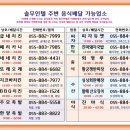솔무인텔 이미지