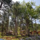 산방환담 이미지