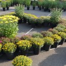 금정전자고등학교 이미지