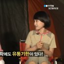 나무유통 이미지