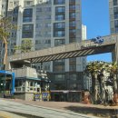 도긴더샵 이미지