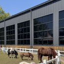 서울승마힐링캠프 이미지