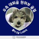 언제나동물병원