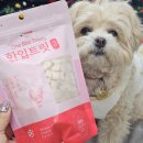 (주)메트워크 | 국개대표한입트릿 한입트릿 치킨 노즈워크 토핑까지 활용 후기