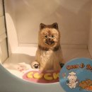 도그앤박스 이미지