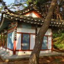 ♣ 만나면 언제나 즐겁고 행복(幸福)한 광장마을 사람들 ... !!