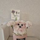 민재상회 | 2602 일상