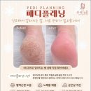 뷰티FULL