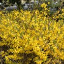 GS25강릉노암점 이미지